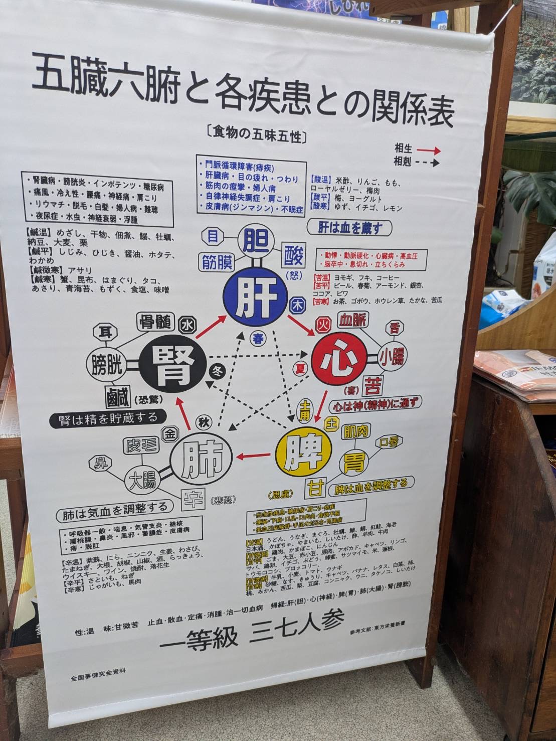 五臓六腑と各疾患との関係を説明する店頭資料